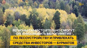 «Регионы самостоятельно смогут проводить мероприятия по лесоустройству и привлекать инвесторов»