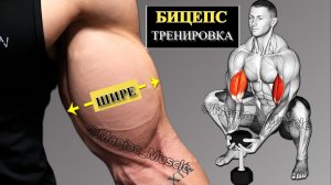 99% Пропускают Эти Упражнения на Бицепс с Гантели Вот Почему Они Остаются Малы