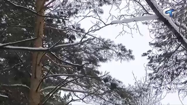 Северск сегодня 220126 смотреть онлайн