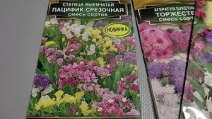 Выбор семян однолетних цветов на новый садовый сезон