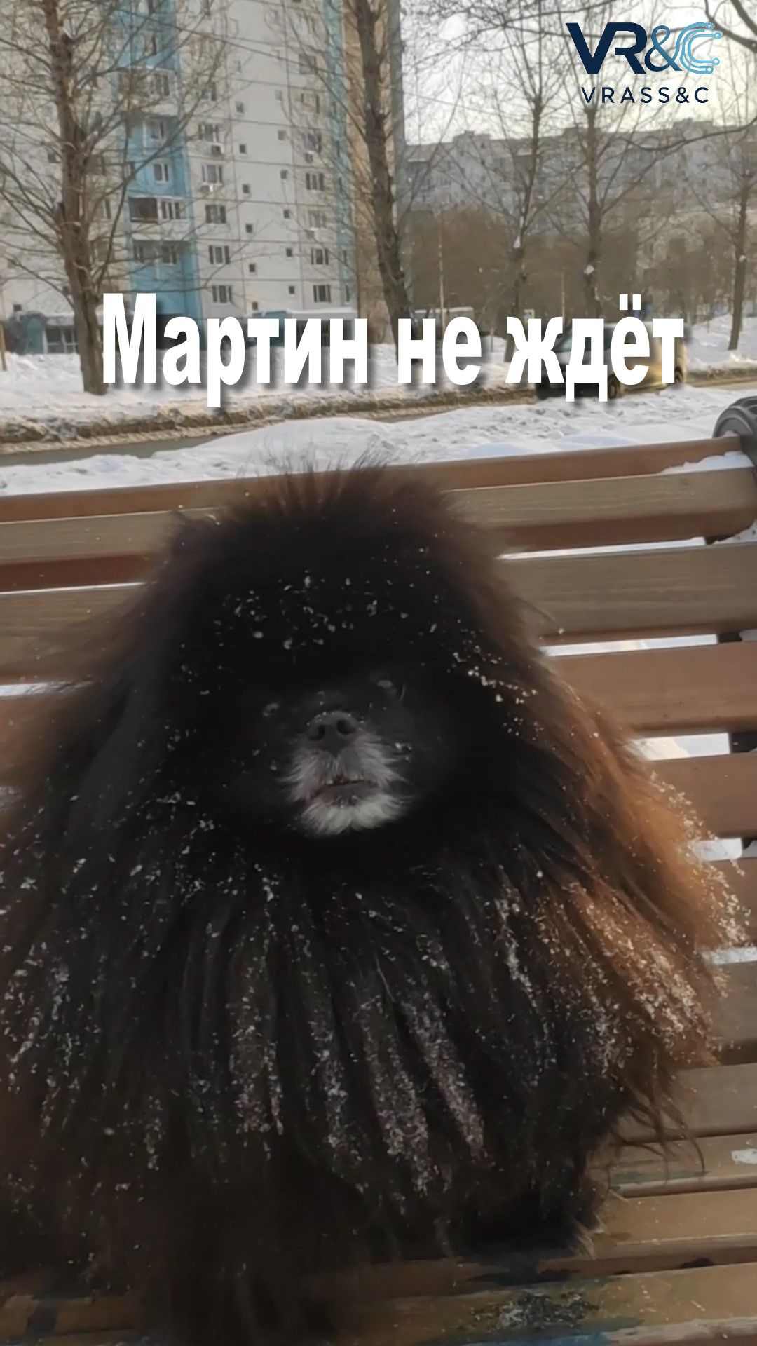 Мартин не ждёт смотреть онлайн