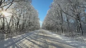 Моховое, зимний пейзаж 2026г.