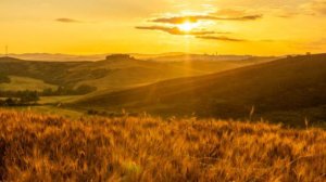 ЭДВАРД ГРИГ ПЕСНЯ СОЛЬВЕЙГ