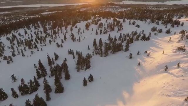 УТРО ИНГУШЕТИИ 26012026 смотреть онлайн