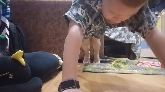 спорт смотреть онлайн