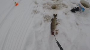 Речка (3) - После снегопадов и 2-х недель морозов!