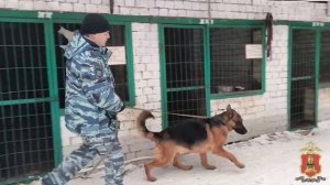 «Студенческий десант-2026» в Центре кинологической службы ГУ МВД России по Тверской области