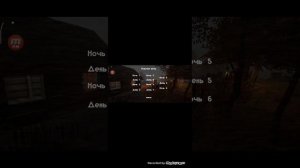 5 ночей с Тимофей и 5 ночей с бобром