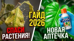 АПТЕЧКА ЦВЕТОВОДА 2026: Чем лечить растения дома? Безопасно и без запаха!
