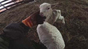 Псих вернулся ! Нападает на меня ! ХУТОР В ЛЕСУ №940