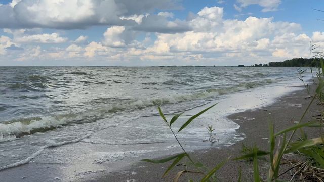 🎼. Александр Скрябин - Этюд ре -диез минор , соч. 8, № 12 смотреть онлайн