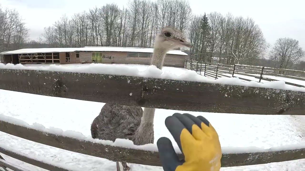 Лебёдка для нивы есть ! Теперь нужно установить ! ХУТОР В ЛЕСУ №941 смотреть онлайн