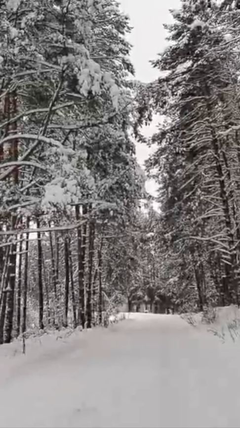 Зимний сон, снег, Торопец, Россия #снег #Россия #зима #зимнийсон #зимняясказка #замело #красота смотреть онлайн