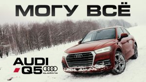 Audi Q5 - на все случаи жизни