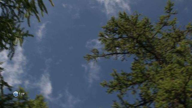 Чудеса природы 7 серия (документальный сериал, 2011) смотреть онлайн