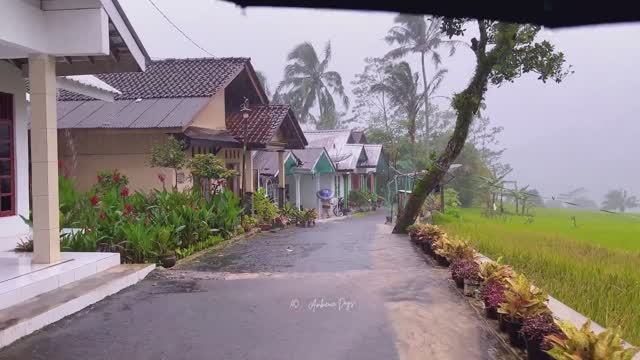 СИЛЬНЫЙ ДОЖДЬ В ГОРНОЙ ИНДОНЕЗИЙСКОЙ ДЕРЕВНЕ смотреть онлайн