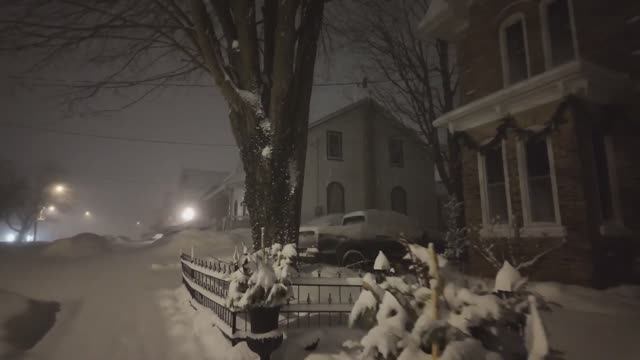 ЭКСТРЕМАЛЬНАЯ прогулка в снежную бурю. Снегопад в Южном Онтарио, Канада❄️ смотреть онлайн