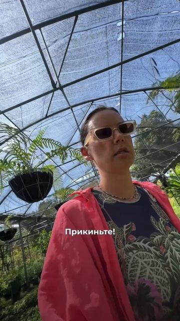 Мое озеленительское сознание расширилось! смотреть онлайн