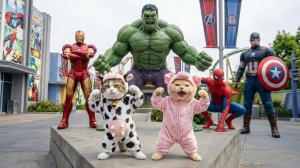 Мультики для детей, котики с мамой отправились в большой парк аттракционов, видео про котиков