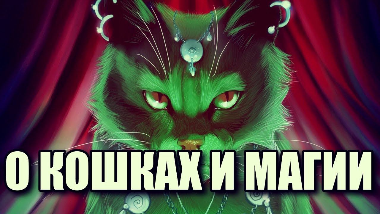 Тайны Кошачьей Магии Наконец-то Рассказаны смотреть онлайн