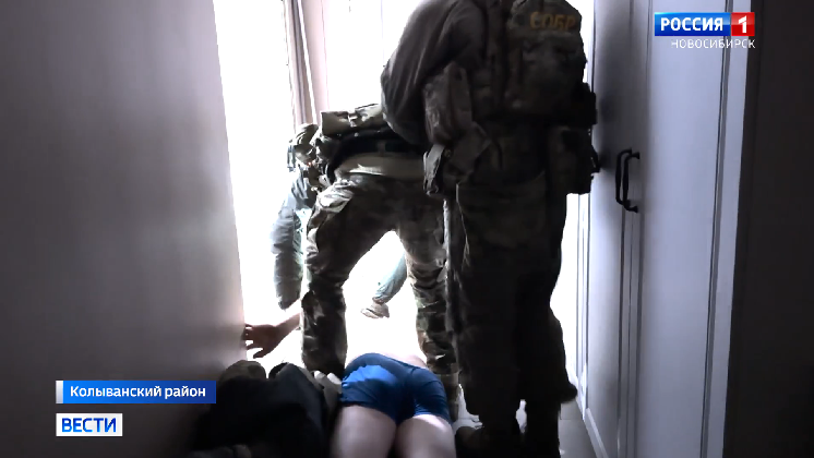 Ещё одну банду чёрных лесорубов задержали в Новосибирской области смотреть онлайн