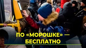 Как новоуренгойским школьникам пользоваться льготой в автобусах