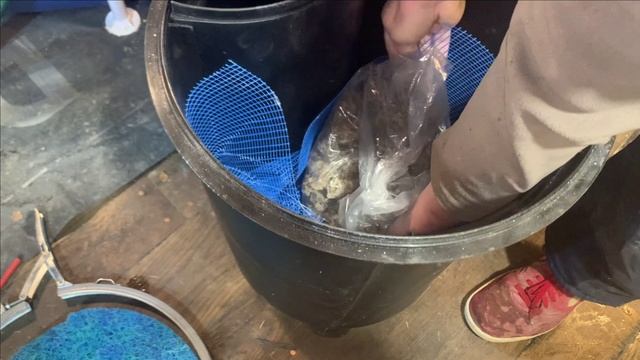 Запуск суперфильтра для аквариума/пруда VELDA. смотреть онлайн