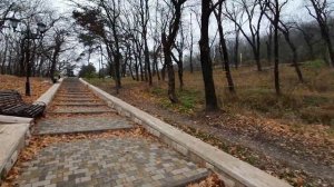 Пятигорск в тумане...Прогулка к Эммануэлевскому парку. Природа готовится к Зиме.