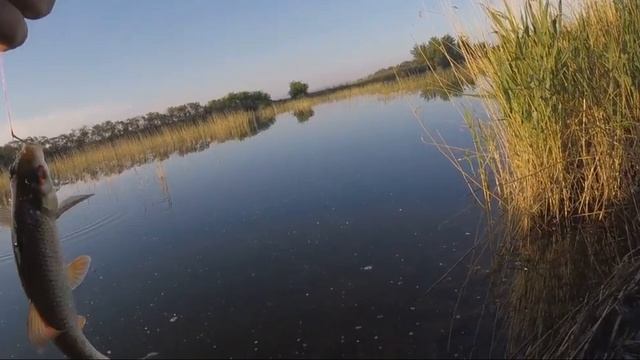 Рыбалка на поплавок смотреть онлайн