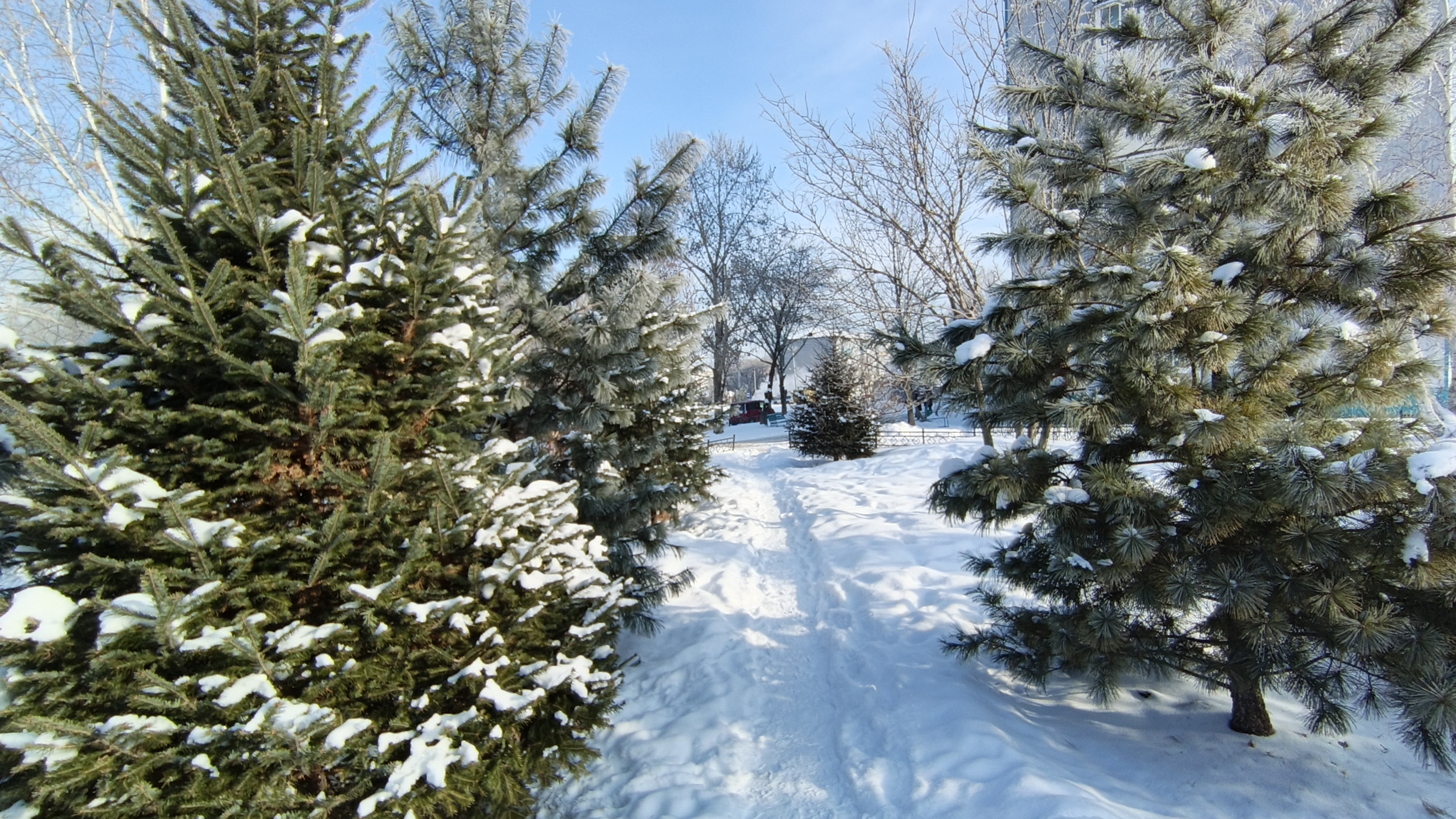 Как Баба-Яга замуж собиралась смотреть онлайн