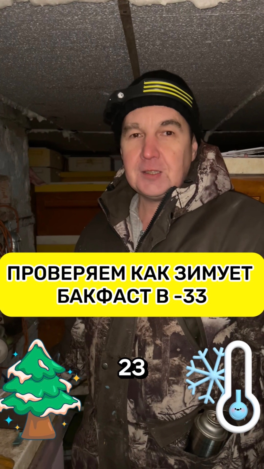 Проверяем как зимует Бакфаст в -33 смотреть онлайн