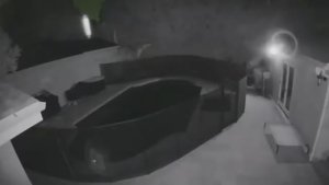 Парящее Светящееся Существо