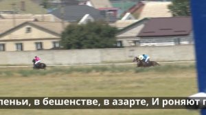 Бег иноходца