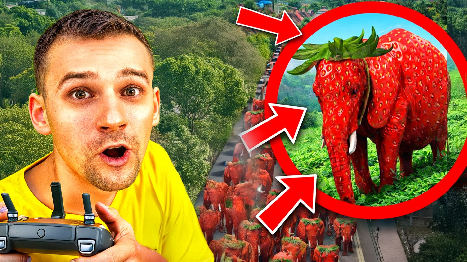 Мой дрон снял Strawberry Elephant в реальной жизни… Это было безумие 🍓🐘 смотреть онлайн