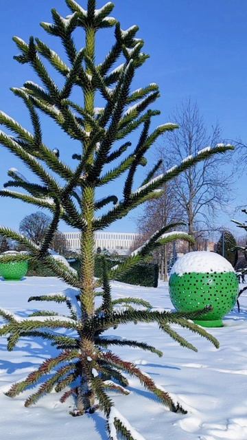 InShot_20260122_153820279 ПАРК ГАЛИЦКОГО Краснодар смотреть онлайн