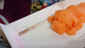 лагерь для сквишей Собачек +влог 😃💗🎀+день рождения Фисташки 🎆🎁🎀