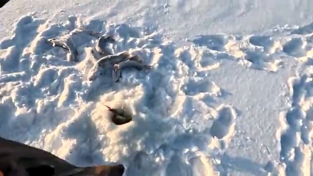 Рыбалка с дедом смотреть онлайн