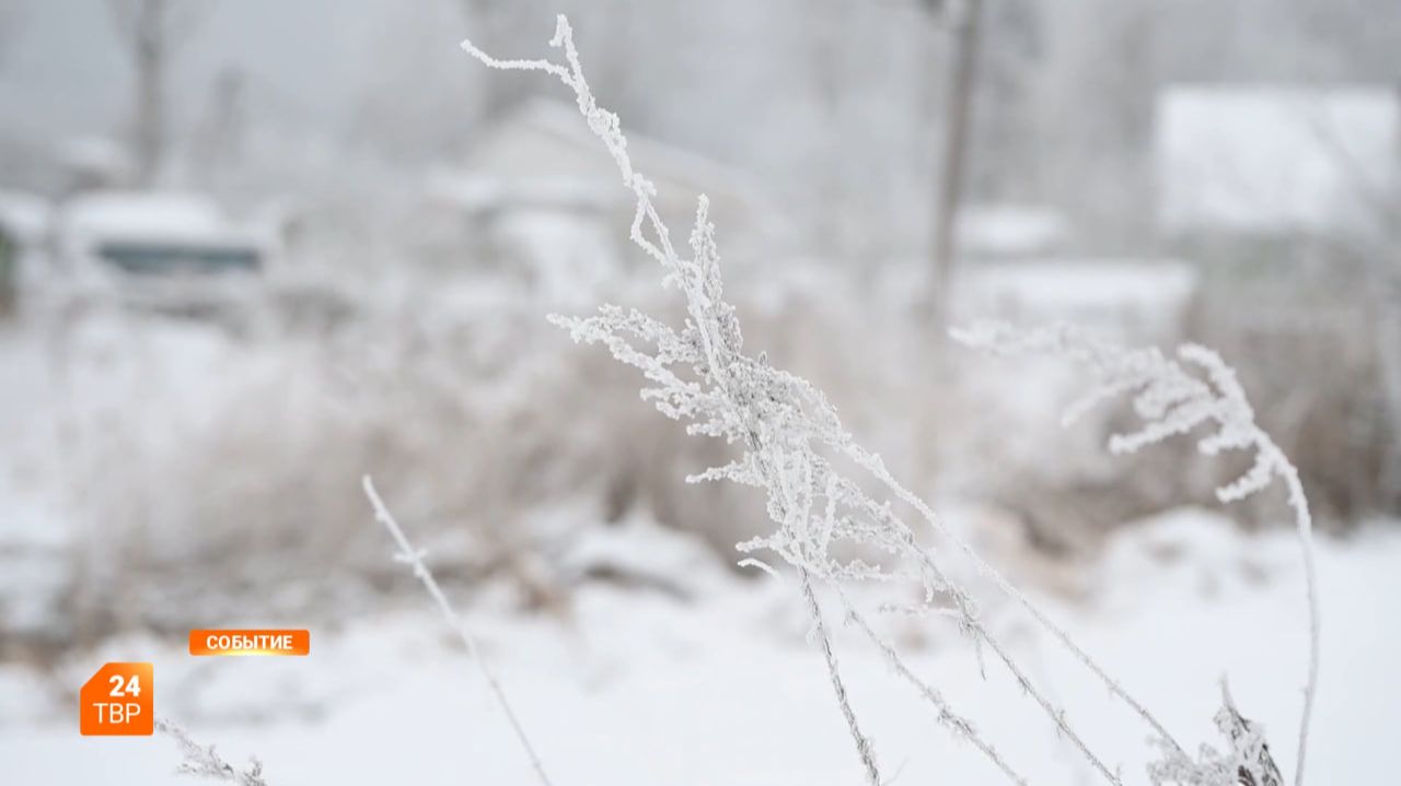 В округ придут морозы смотреть онлайн