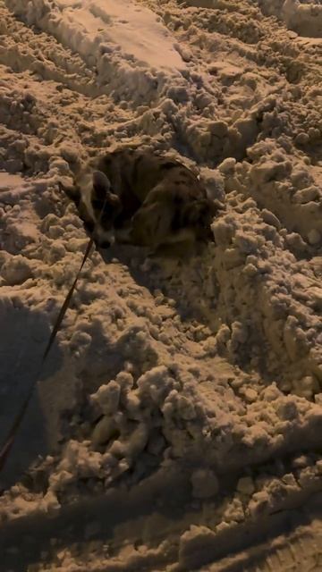 Будни Бетти. смотреть онлайн