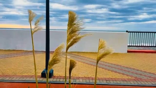 23.01.2026...🩵💞"Адлер"!.. Натали!.. смотреть онлайн