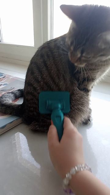 с днём рождения Мэри!