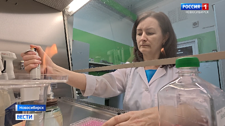 Тест-систему респираторных инфекций для скота разработали в Новосибирске смотреть онлайн