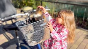 СМЕШНО! Ангелина спрашивает у всех животных не видели ли они ЛУННЫХ КОТЯТ!