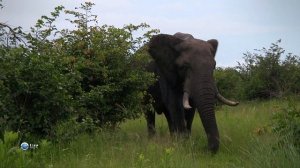 Чудеса природы 15 серия (документальный сериал, 2011)