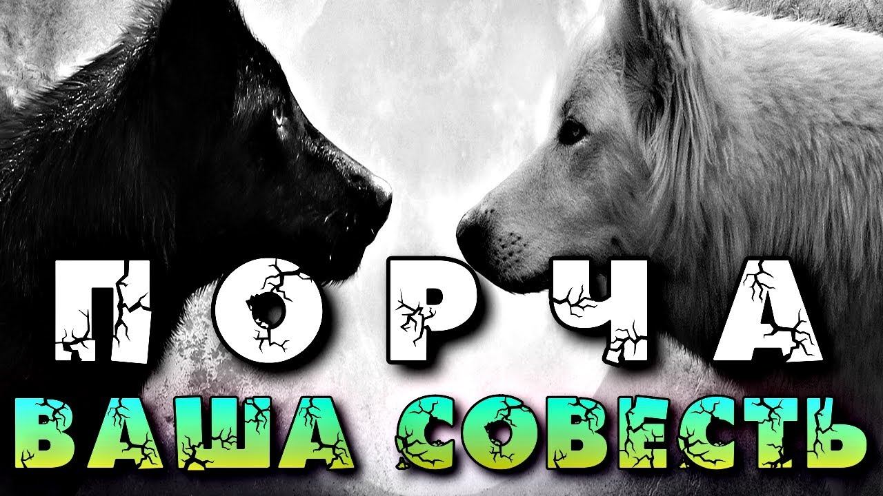 ПОРЧА И ВАША СОВЕСТЬ смотреть онлайн