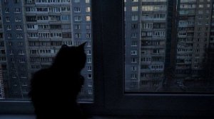 Плейлист, чтобы грустить на кухне в 4 утра