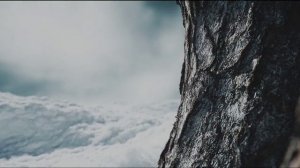 ИИ Зимняя чистота 2