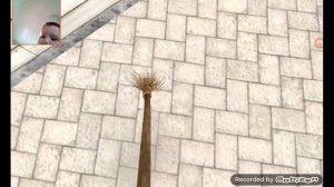 Я ПЫТАЮСЬ В СКУЛБОЙ ПОЛУЧИТЬ ЧИТЫ ОТ РОСБОЧИКАВ Я ПРОИГРАЛ ПЛАКИ-ПЛАКИ😭‼️‼️ ﹥﹥СКУЛБОЙ®