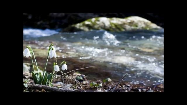 Смахнуть пыль с сапогов смотреть онлайн