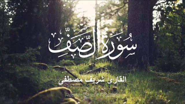 Красивое чтение Корана | Суры Корана | Чтец: Шариф Мустафа смотреть онлайн
